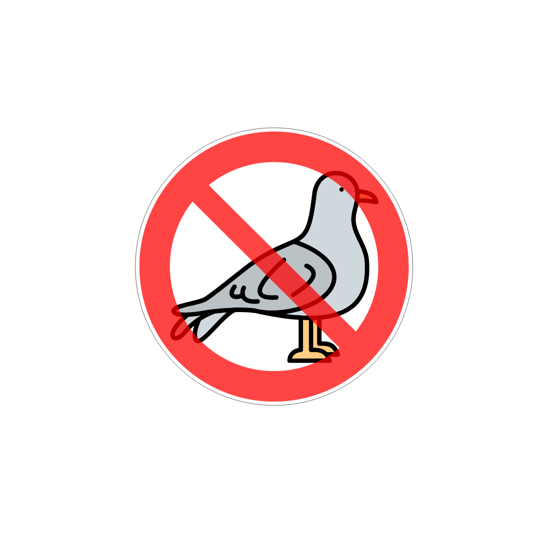 service anti-nuisibles paris - anti pigeon 